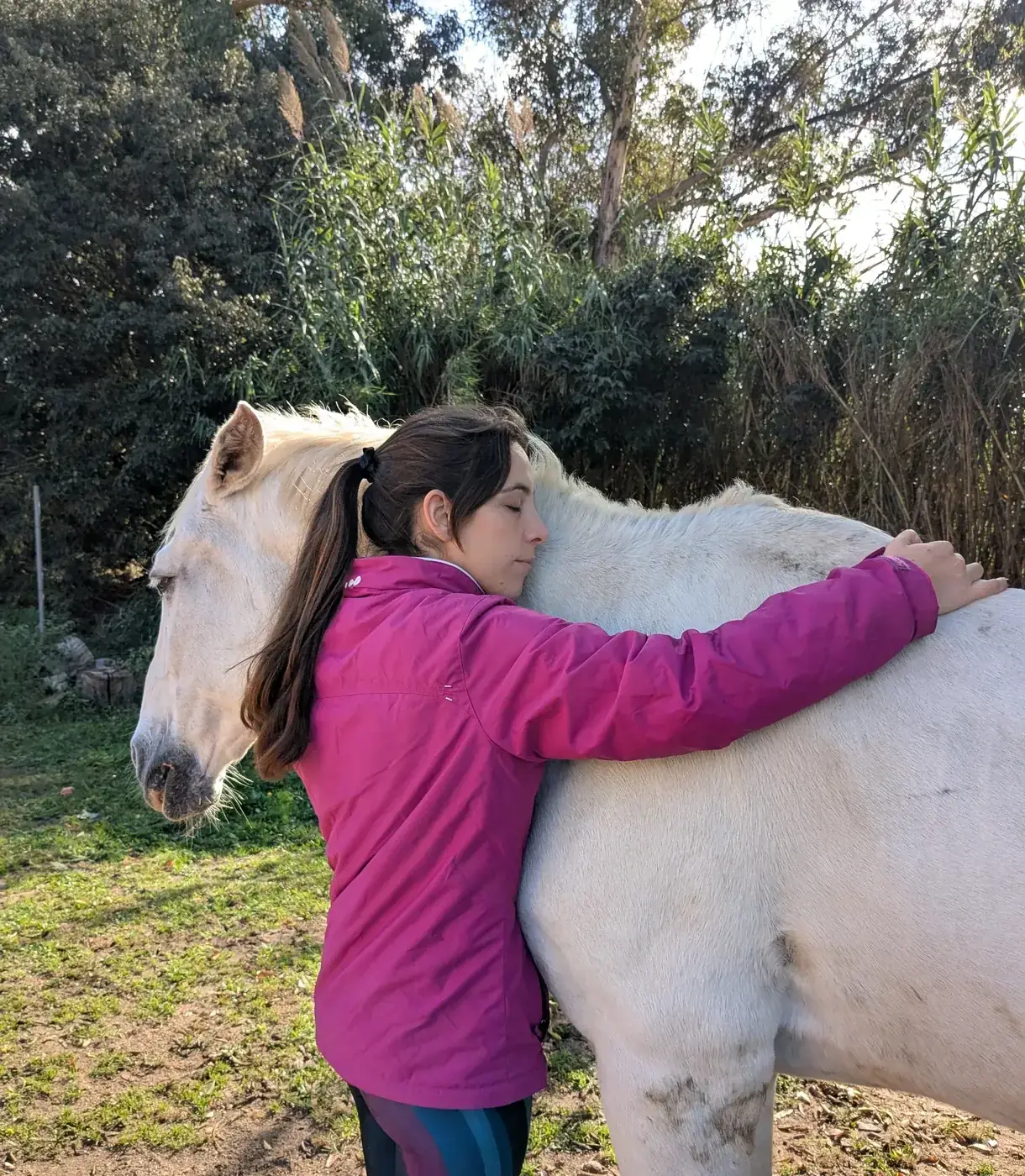 Sesión Reiki