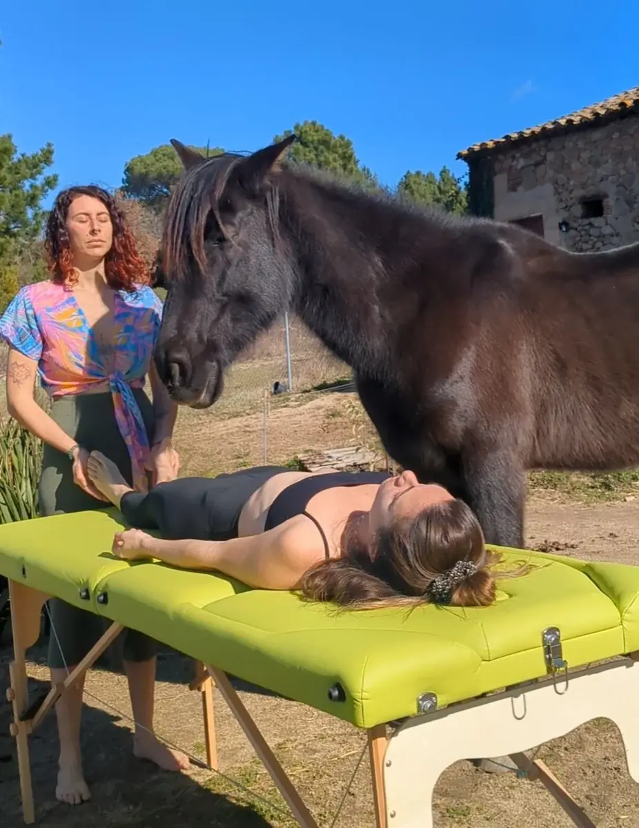 Conexión con los caballos