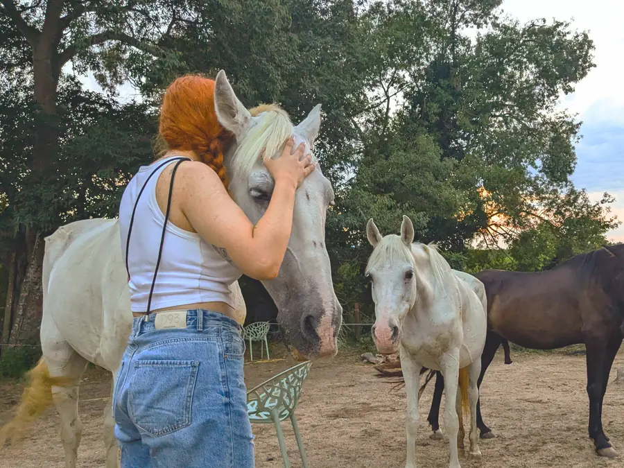 Esencia equina