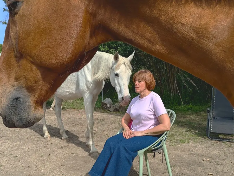 Meditación con caballos en Laranahata
