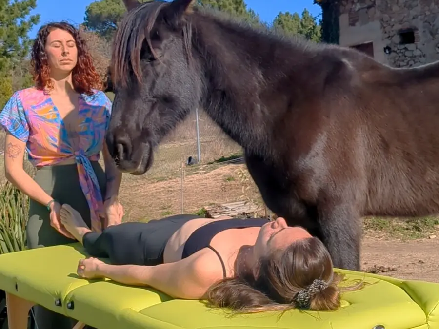 Reiki con caballos en Laranahata