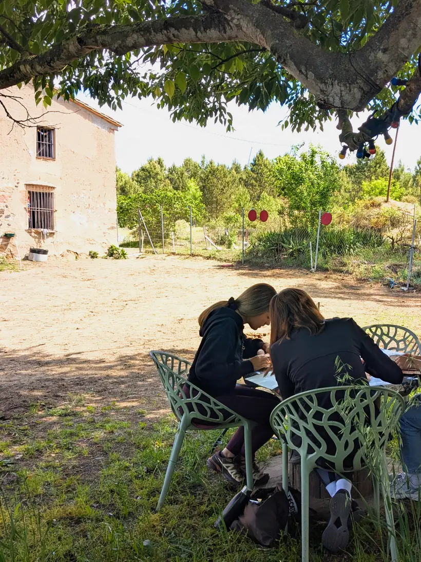 Taller bajo el almez frente a la masía de Laranahata