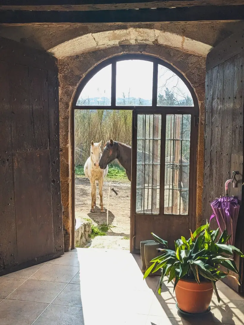 Arco de entrada del siglo XVI con los caballos al fondo — Laranahata
