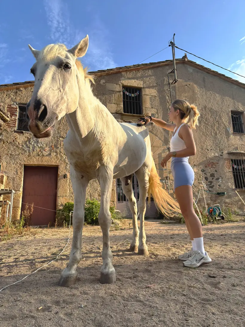 Cepillando a uno de los caballos frente a la masía de Laranahata