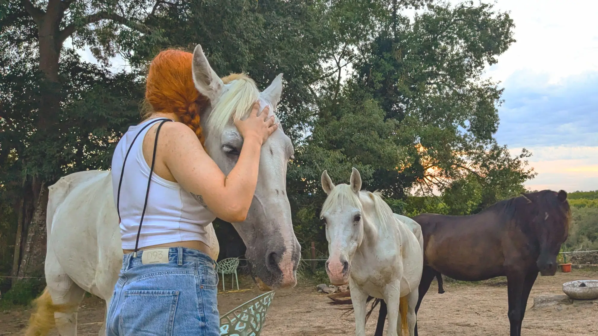 Encuentro con los caballos de Laranahata al atardecer