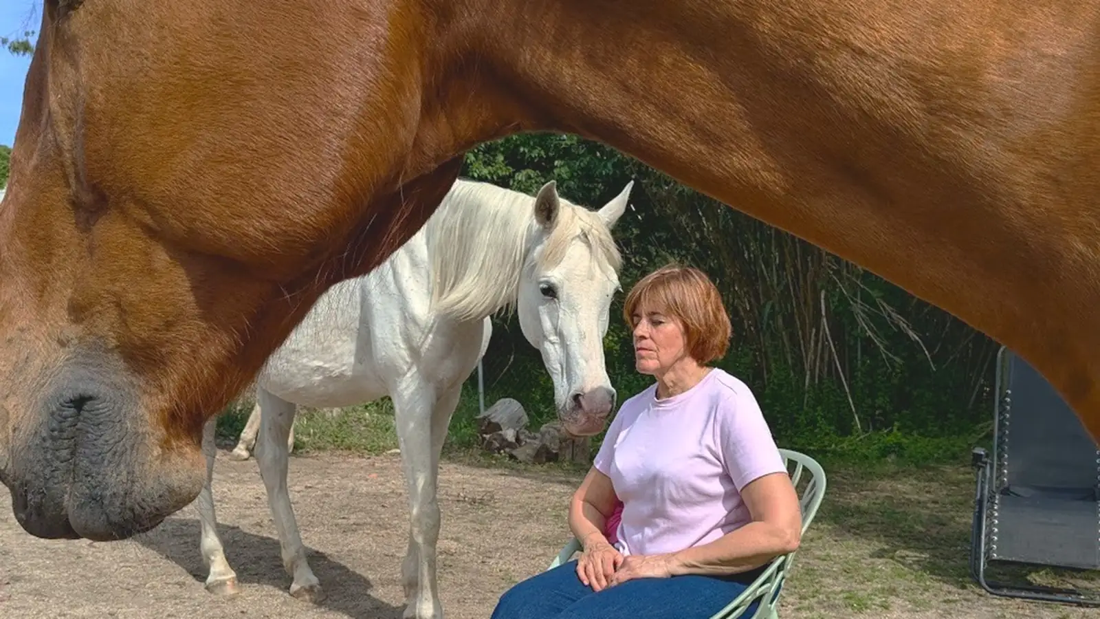 Meditación sentada entre los caballos de Laranahata