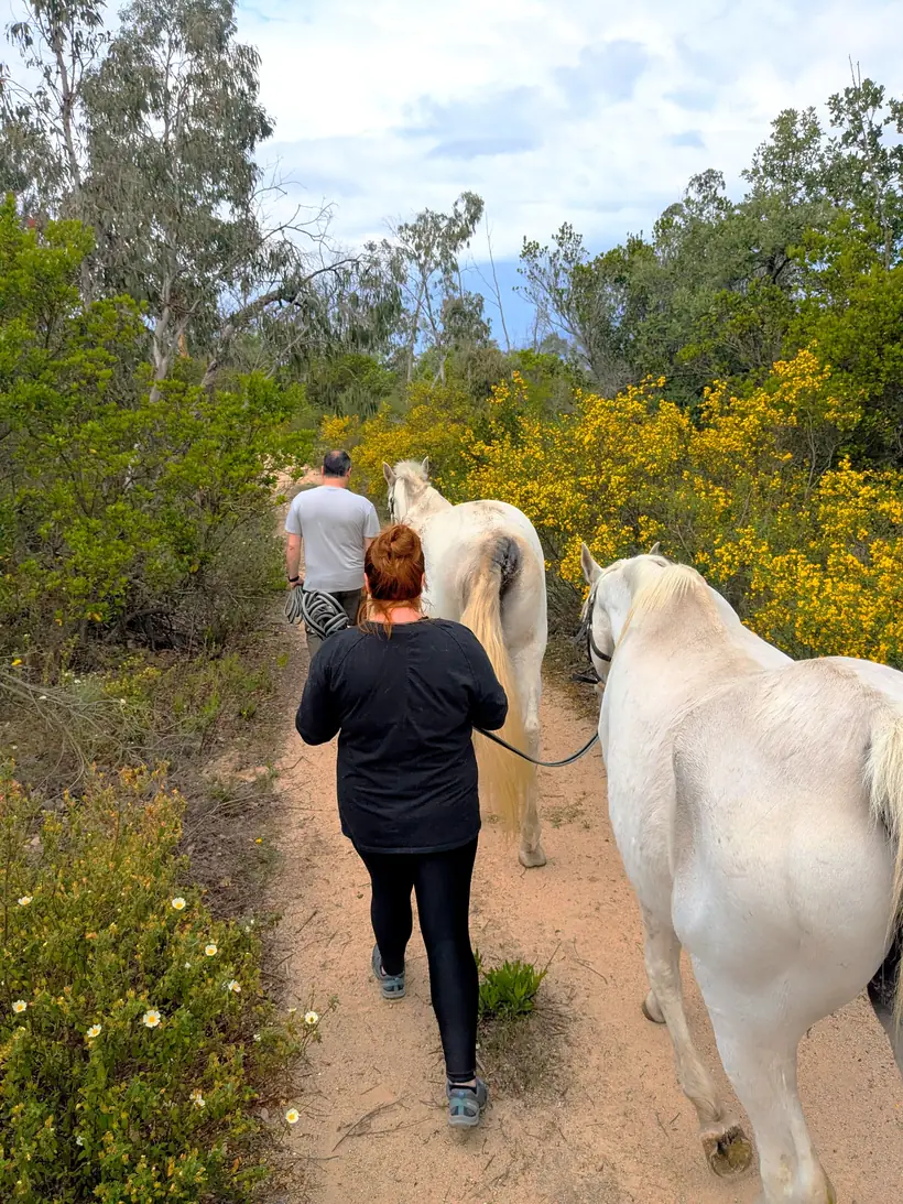 Paseo con los caballos por el bosque de Laranahata