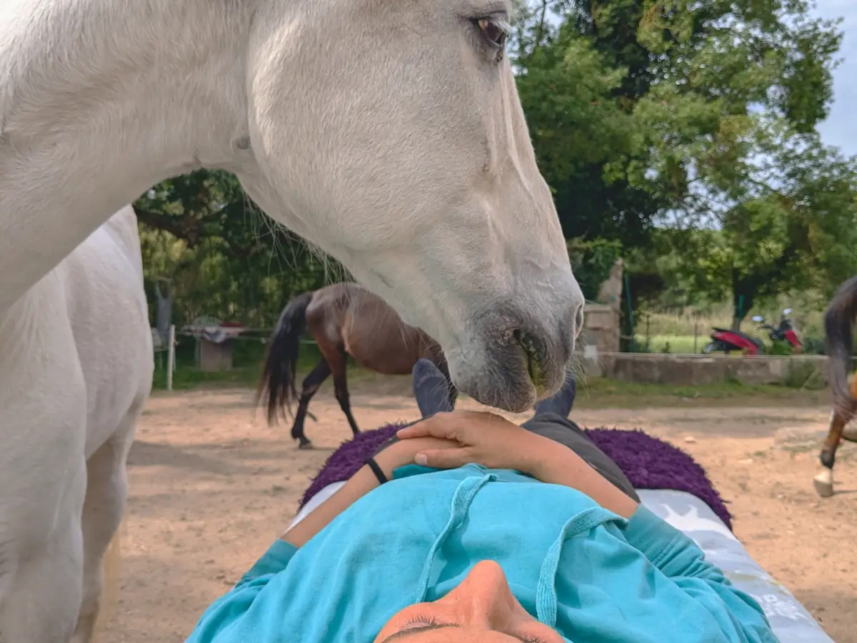 Caballo blanco acompañando una sesión de reiki en Laranahata