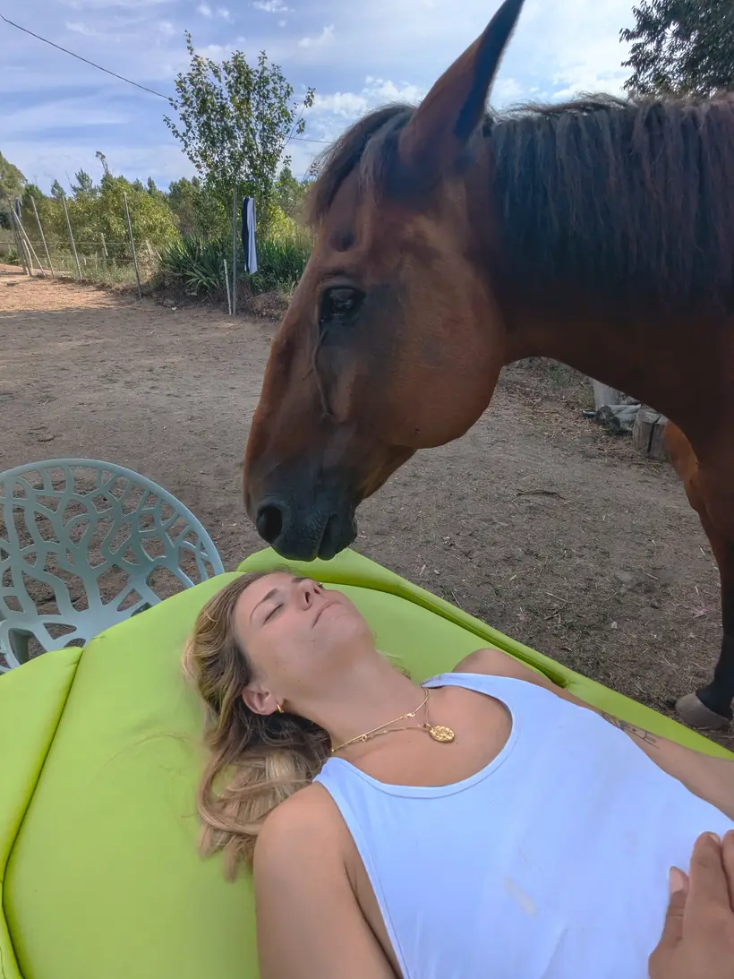 Uno de los caballos acercándose al rostro durante una sesión de reiki