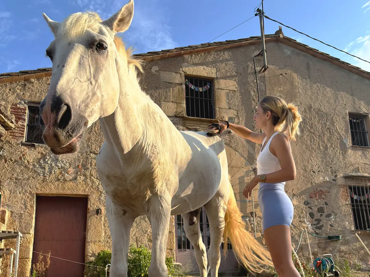 Cepillando al caballo antes de la sesión en Laranahata