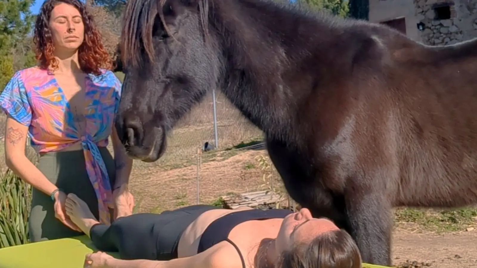 Lara acompañando una sesión de reiki con uno de los caballos de Laranahata