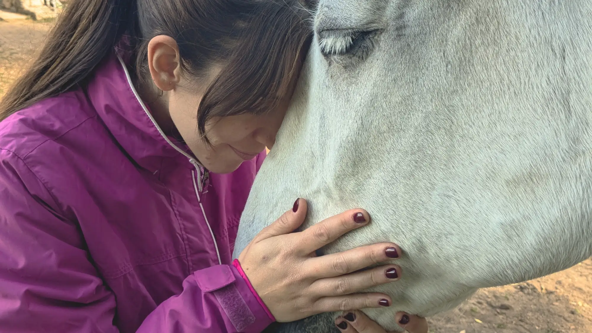 Encuentro frente con frente con uno de los caballos de Laranahata