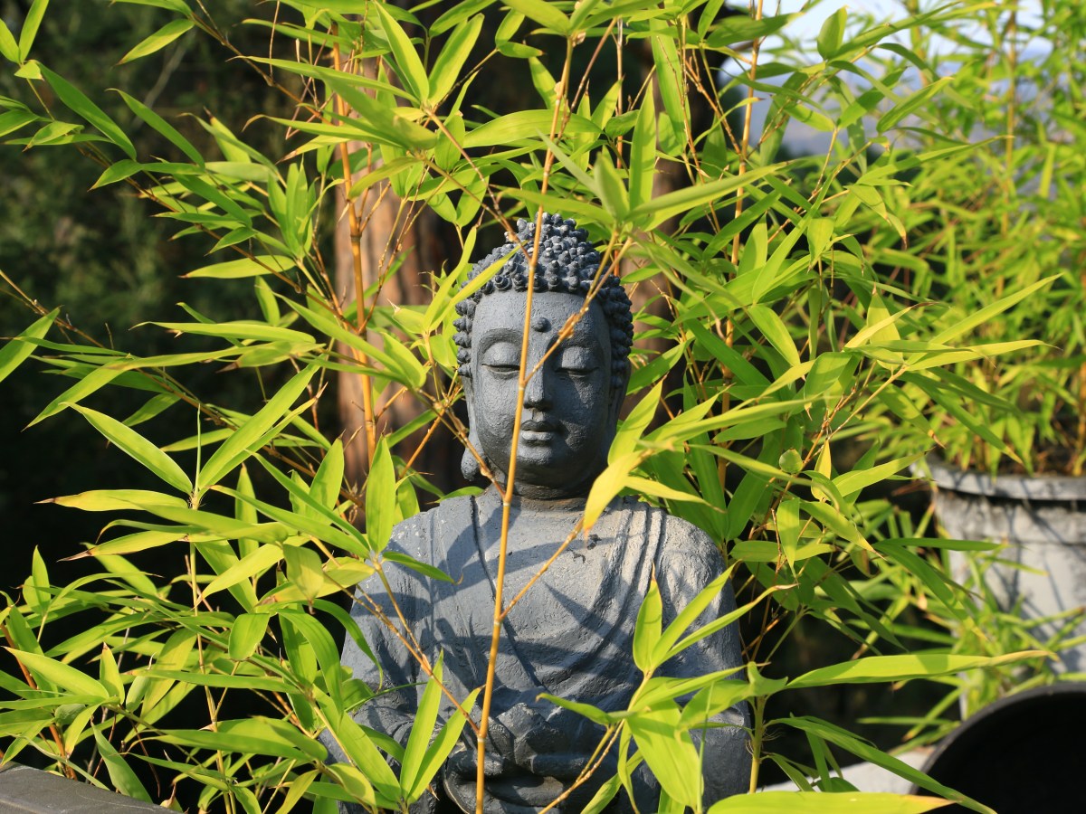 El hombre que escupió a&nbsp;Buda